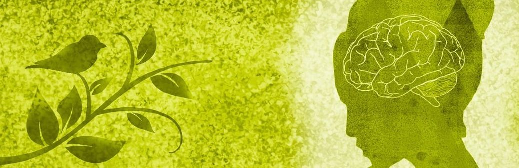 Au Gabon, Akewa incube les startups dans le secteur de l’environnement