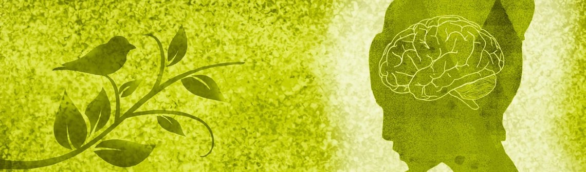 Au Gabon, Akewa incube les startups dans le secteur de l’environnement