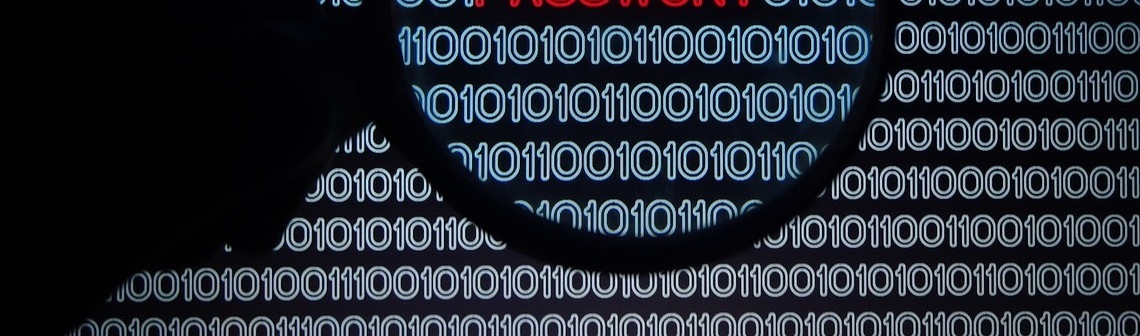 virus, piratage informatique