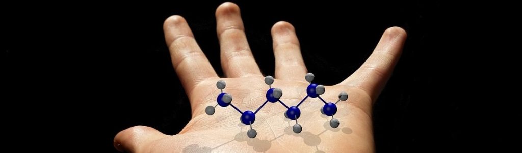 Ermium Therapeutics, molecules innovantes