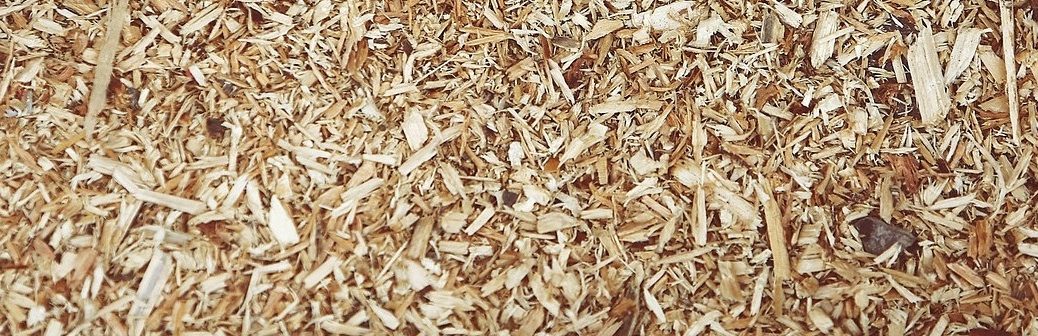 biomasse lignocellulosique