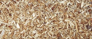 Un projet industriel conjoint pour développer des alternatives renouvelables et biosourcées