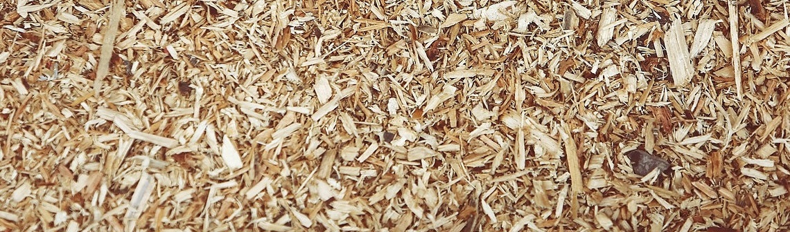 biomasse lignocellulosique