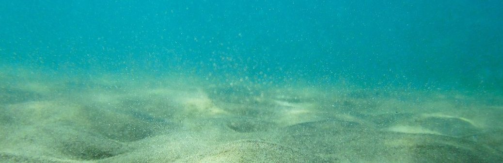 Les microplastiques s'accumulent de plus en plus dans les sédiments marins