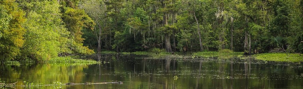 Une étude révèle les causes de l'augmentation du méthane atmosphérique en 2020