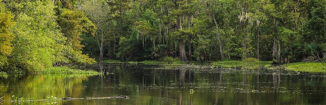 Une étude révèle les causes de l'augmentation du méthane atmosphérique en 2020