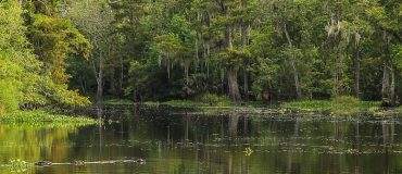 Une étude révèle les causes de l'augmentation du méthane atmosphérique en 2020