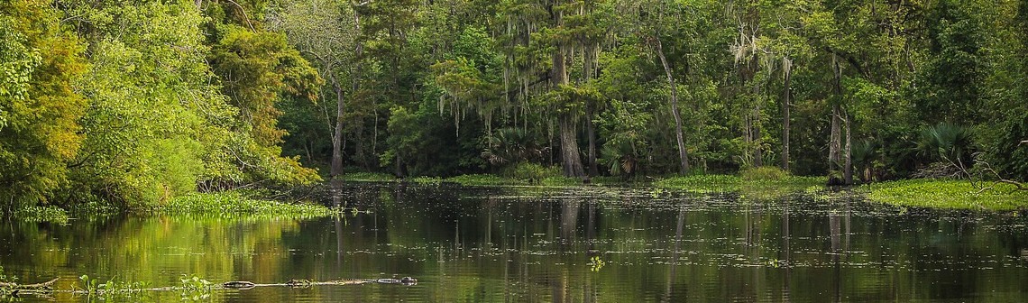 Une étude révèle les causes de l'augmentation du méthane atmosphérique en 2020