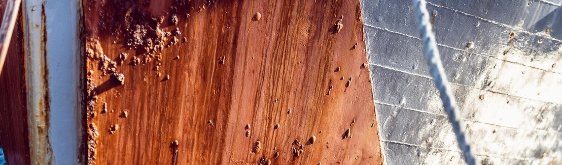 coque, bateau, fouling