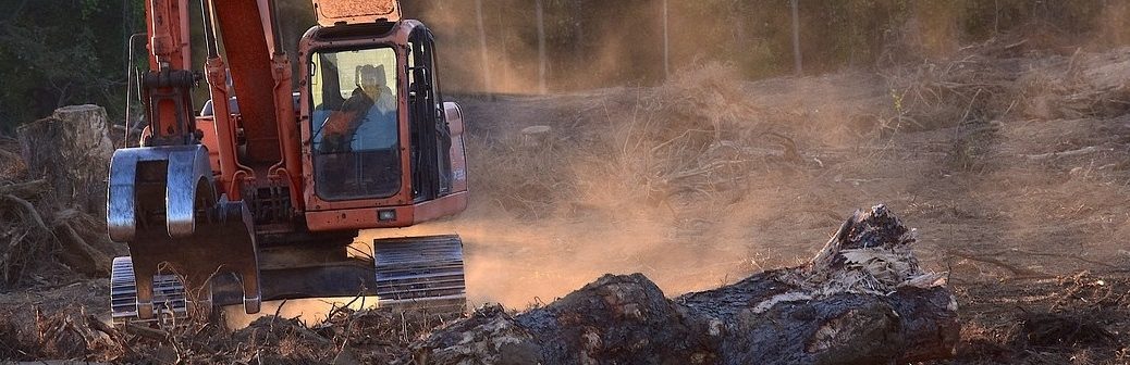 Les paysages forestiers intacts face à de multiples pressions