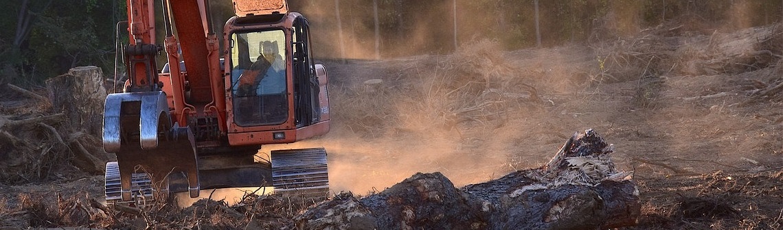 Les paysages forestiers intacts face à de multiples pressions