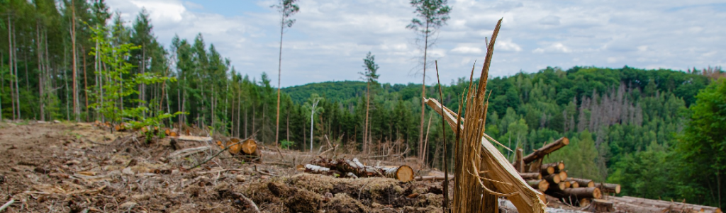 Lutte contre la déforestation importée, accord, Europe