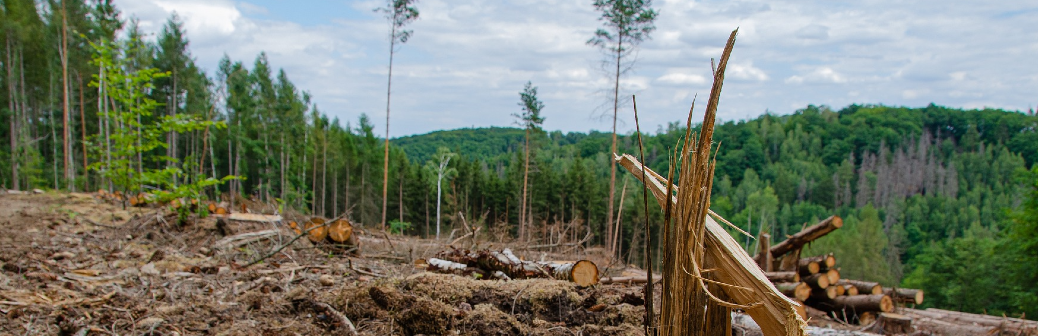 Lutte contre la déforestation importée, accord, Europe