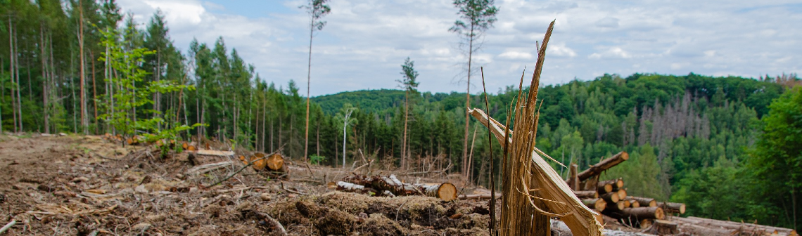 Lutte contre la déforestation importée, accord, Europe