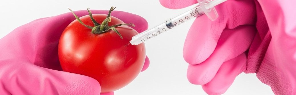 L’Académie des technologies promeut le développement des nouveaux OGM