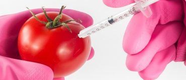 L’Académie des technologies promeut le développement des nouveaux OGM