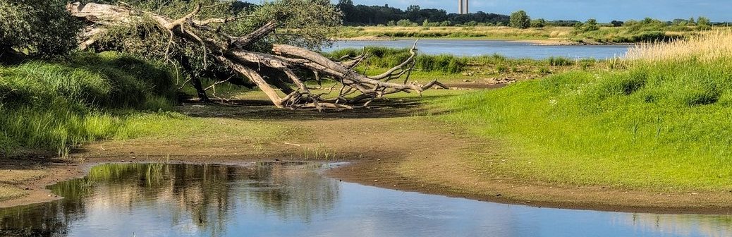Sécheresse et plan de sobriété sur l'eau