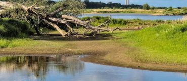 Sécheresse : un plan de sobriété sur l'eau en préparation