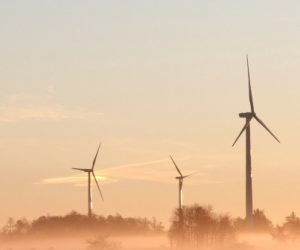Éolien : la Commission européenne sur la brèche face aux vents contraires qui soufflent sur le secteur