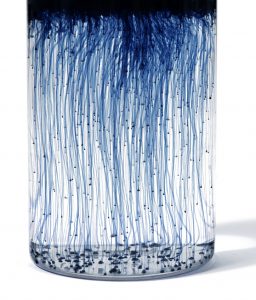 comètes-colorant-Pili