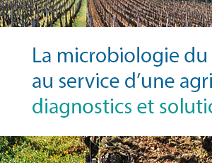 La microbiologie du sol au service d'une société durable : diagnostics et solutions innovantes