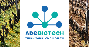 La microbiologie du sol au service d'une société durable : diagnostics et solutions innovantes