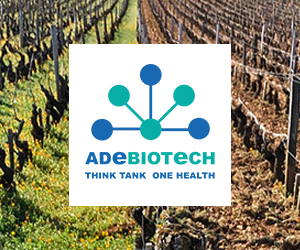 La microbiologie du sol au service d'une société durable : diagnostics et solutions innovantes