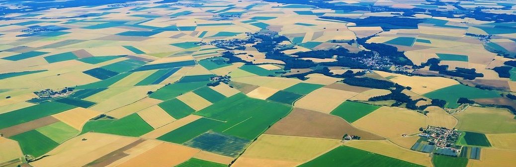 Trois scénarios pour une agriculture européenne sans pesticides en 2050
