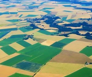 Trois scénarios pour une agriculture européenne sans pesticides en 2050