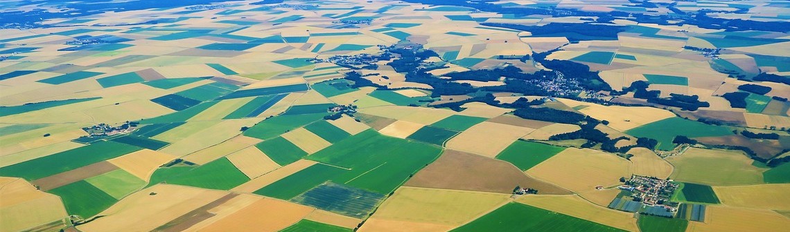 Trois scénarios pour une agriculture européenne sans pesticides en 2050