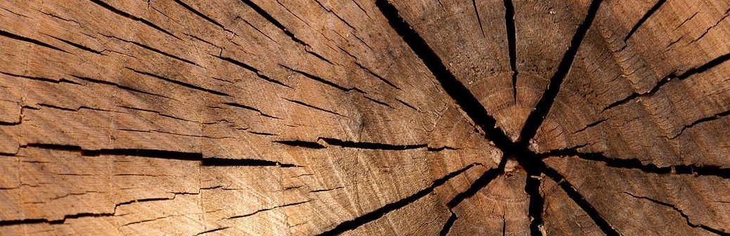 Une technologie de séchage du bois dans une atmosphère saturée en CO2