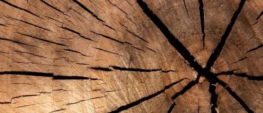 Une technologie de séchage du bois dans une atmosphère saturée en CO2