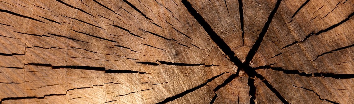 Une technologie de séchage du bois dans une atmosphère saturée en CO2