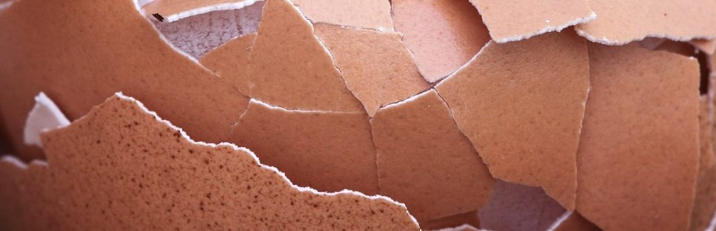 Circul’egg donne une nouvelle vie aux coquilles d’œufs