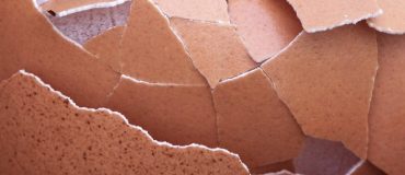 Circul’egg donne une nouvelle vie aux coquilles d’œufs