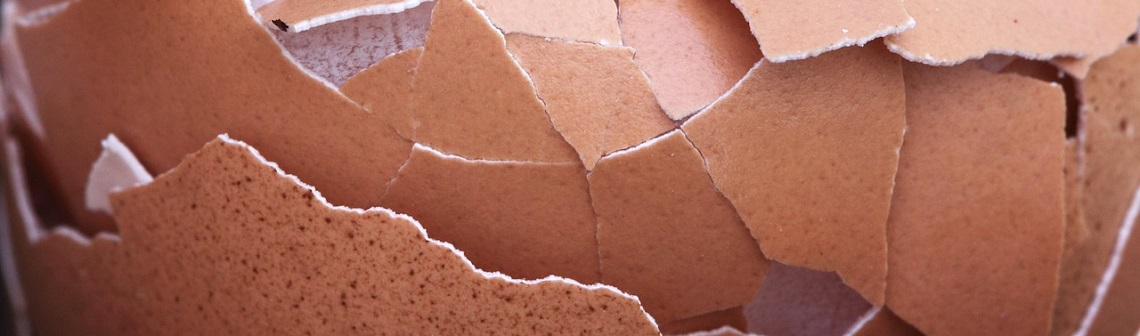 Circul’egg donne une nouvelle vie aux coquilles d’œufs