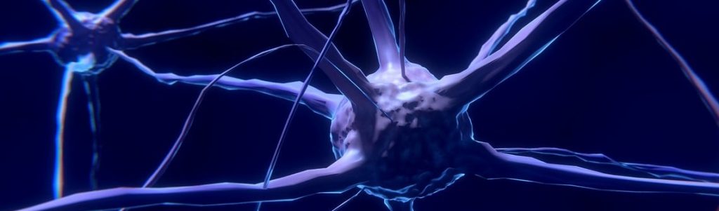 Une méthode plus précise pour mesurer l'activité électrique cérébrale