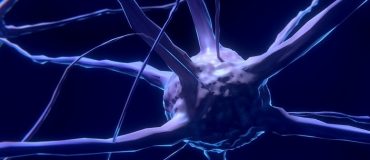Une méthode plus précise pour mesurer l'activité électrique cérébrale