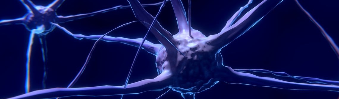 Une méthode plus précise pour mesurer l'activité électrique cérébrale