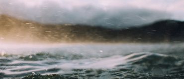 Lineup Ocean : la résilience côtière, inspirée par la nature