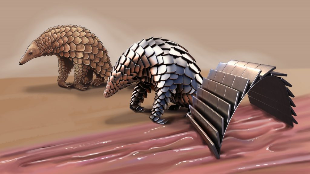 Pangolin robot