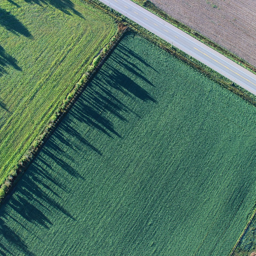 Préserver la qualité des sols : pourquoi et comment ?