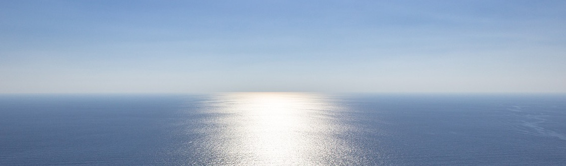 Des décalages de la floraison du phytoplancton dans l'océan Atlantique nord