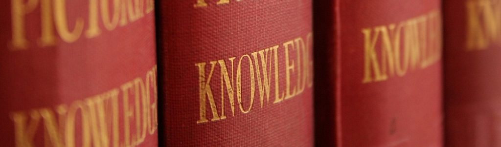 Les connaissances tacites : une source de savoir sous-estimée par les entreprises !