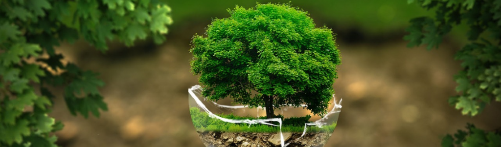 Affaire du siècle : vers une astreinte d’un milliard d’euros pour l’État