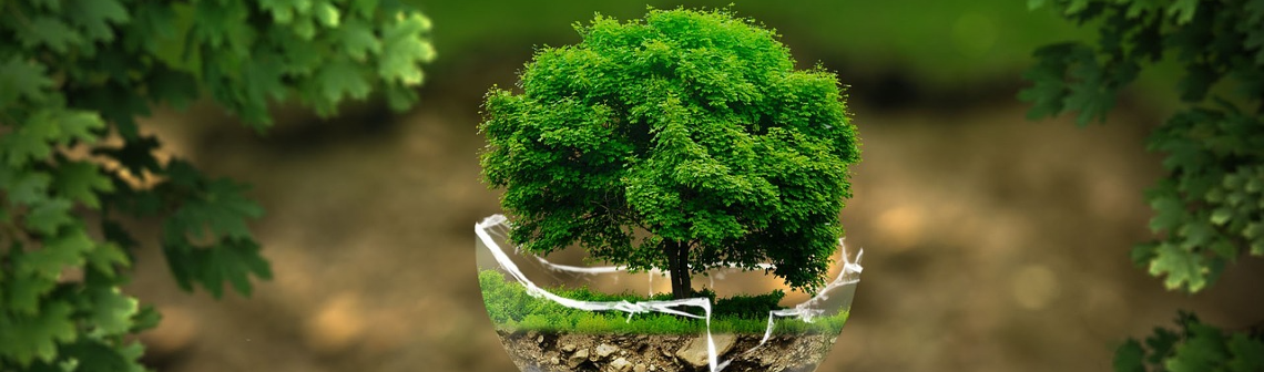 Affaire du siècle : vers une astreinte d’un milliard d’euros pour l’État