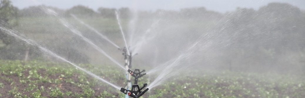 Eau et agriculture : quels compromis dans une France à +4°C ?