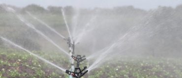 Eau et agriculture : quels compromis dans une France à +4°C ?