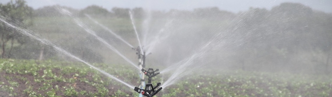 Eau et agriculture : quels compromis dans une France à +4°C ?