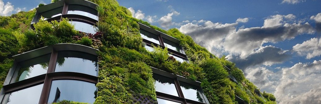 Confort d’été : quelle place dans le neuf et la rénovation performante ?